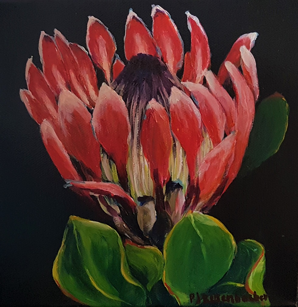 Protea 1